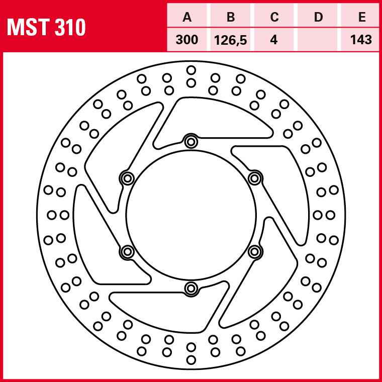 MST310 - 2.jpg