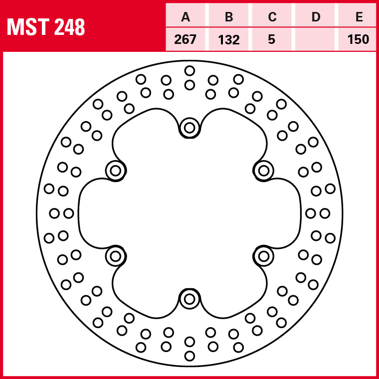 MST248 - 2.jpg