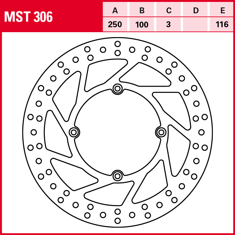 MST306 - 2.jpg