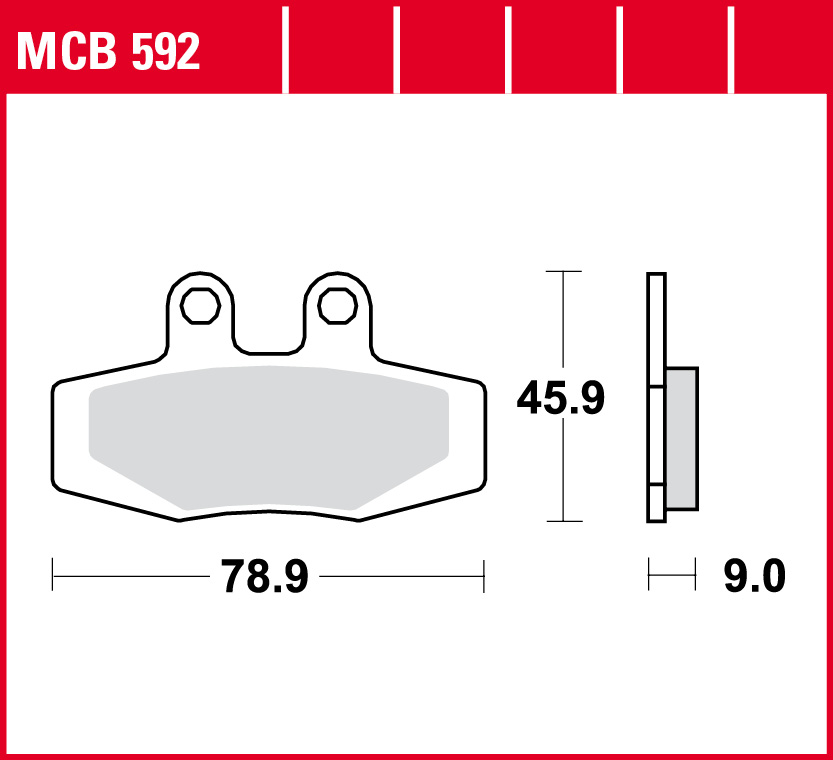 MCB592 - 2.jpg